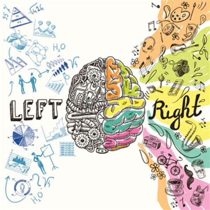 Are left handers more intelligent?