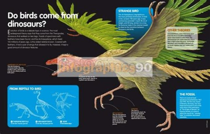 Do birds descend from dinosaurs?