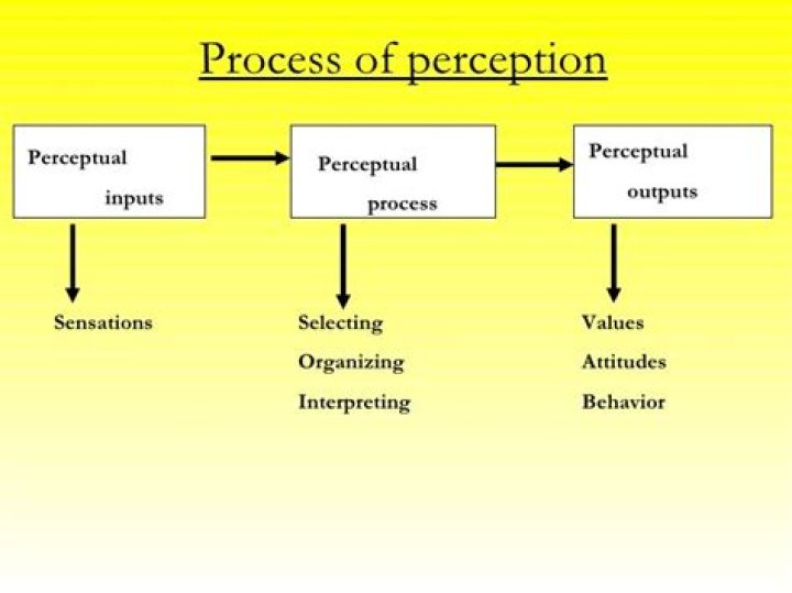 During which stage of the perception process?
