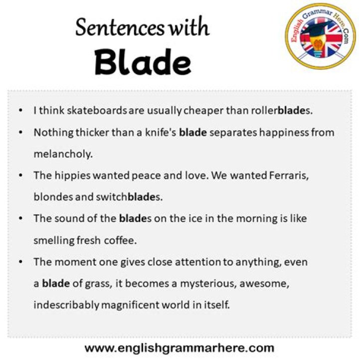 How do you use blade in a sentence?
