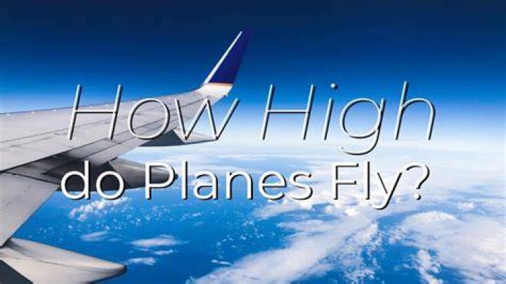 How high can leaf wings fly?