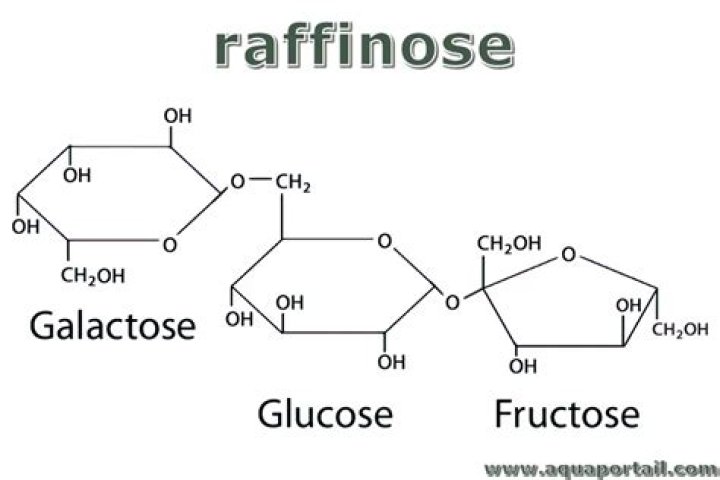 Is raffinose a ketose?