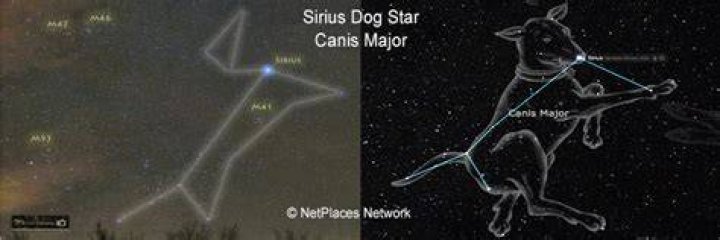 Is sirius called the dog star?