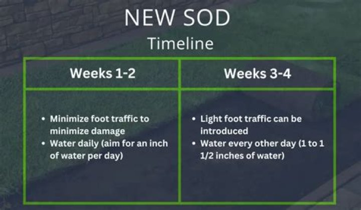 Should new sod be aerated?
