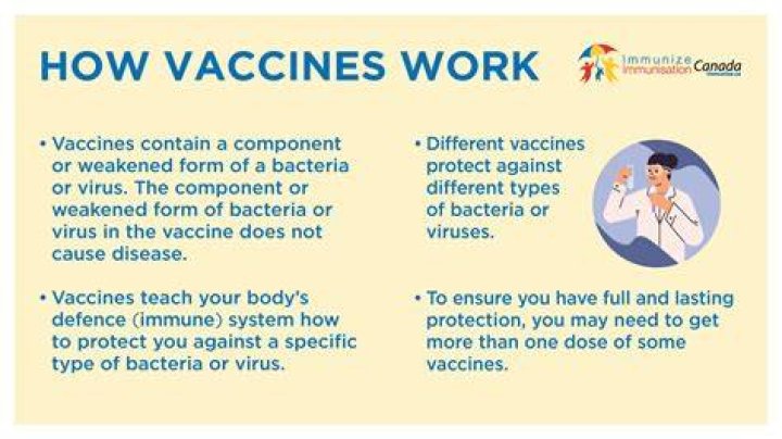 What are vaccines definition?