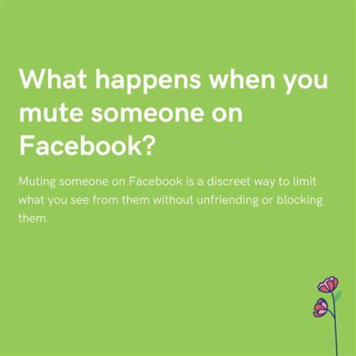 What does muting someone on facebook do?