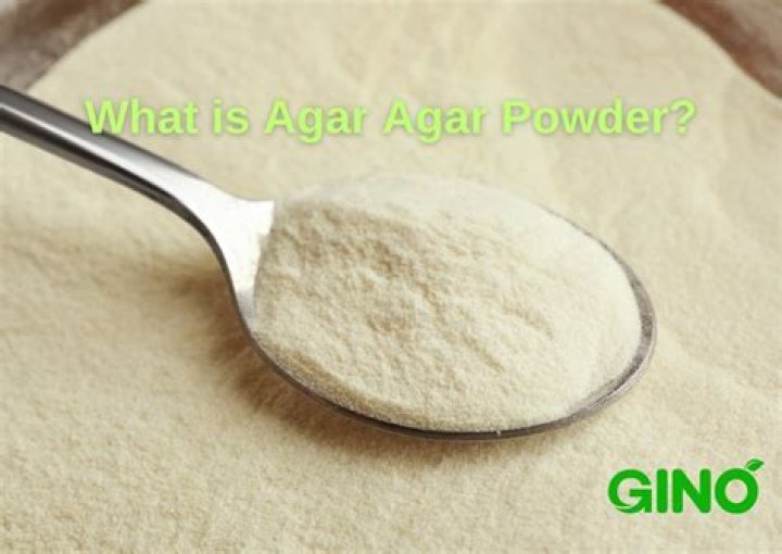 Whats agar agar powder?