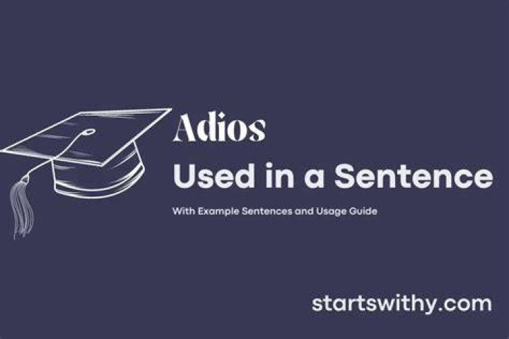 When to use adios in a sentence?