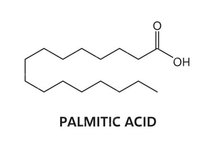 Where to find palmitic acid?