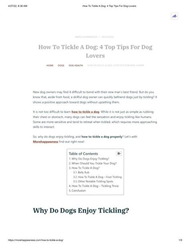 Where to tickle a dog?