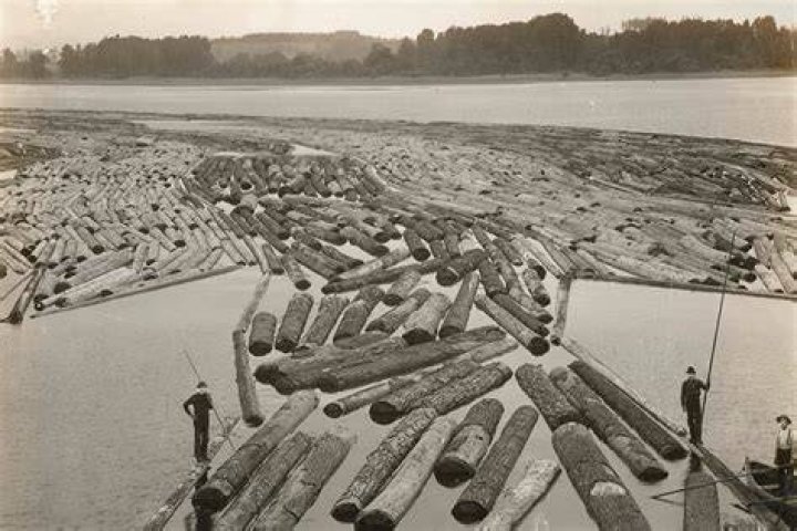 Why do lumber yards water logs?
