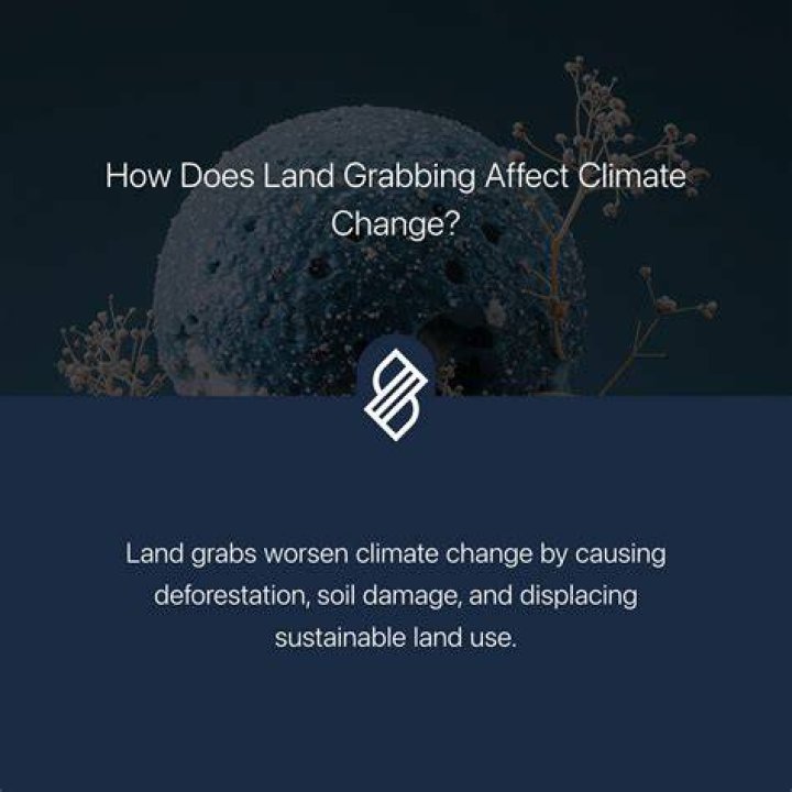 Why does land grabbing happen?