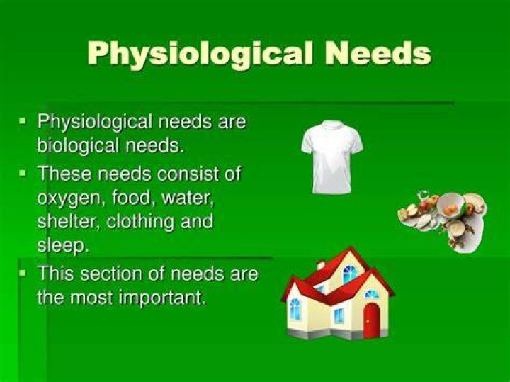 Why physiological needs important?