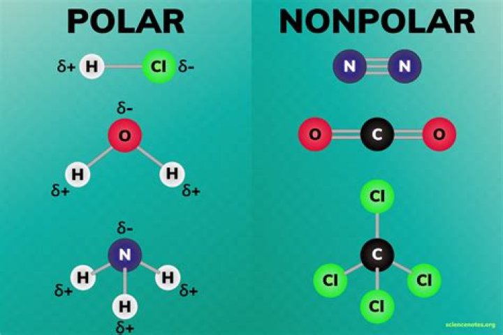 Will a diatomic molecule always be polar?